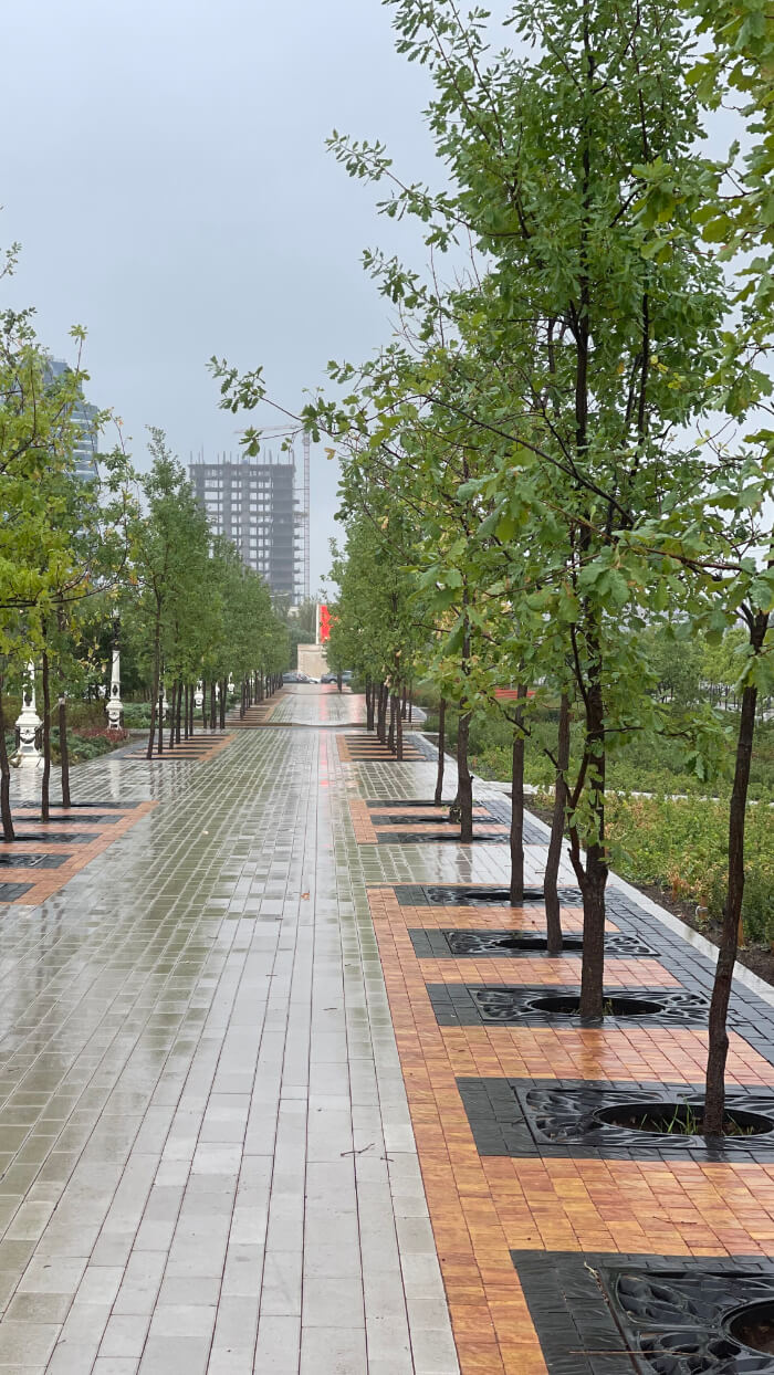 Приствольная решетка для дерева ZKING CRUST 1.2х1.2м Черная в Сыктывкаре фото