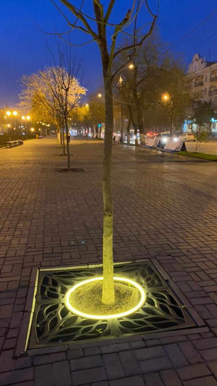 Приствольная решетка для дерева ZKING CRUST 1.2х1.2м Черная в Сыктывкаре фото